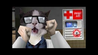 Cat Half Life SFX Memes [upl. by Yate]