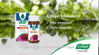 AVogel Echinaforce  Immuunsysteem en weerstand [upl. by Eirrok]