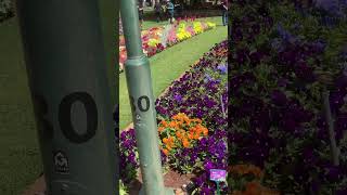 Toowoomba flower fest toowoomba flowerfestival carnival subscribe viral teluguvlogs telangana [upl. by Marybella]