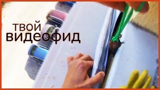 СЮРПРИЗ ПОД ПОДОКОННИКОМ  Видеофид [upl. by Saref684]