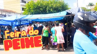 Feira do Peixe em Carpina [upl. by Eusebio789]