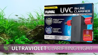 Fluval UVC InLine Clarifier  Unboxing amp Installation [upl. by Nitza]