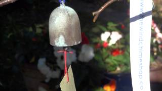 Bell Cricket Japanese Wind Bell [upl. by Dalila]