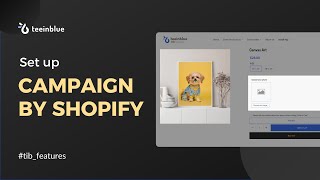 A Guide for Quick Setup of Campaign by Shopify products [upl. by Rangel]