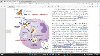 Blood Physiology Lec 6 [upl. by Aiekan]