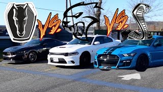 GT500 vs DARKHORSE vs HELLCAT DRAG RACE [upl. by Alikahs614]