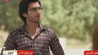 Zard Patton Ka Ban Episode 12 Promo Teaser  zardpattonkabanepi13  Sajal Ali  Hamza Suhail [upl. by Gelasias690]