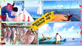 সমুদ্রে মাছ ধরার এক ভয়ানক অভিঙ্গতা। Catching Fish In The Deep Sea। BlacktipH fishing animals [upl. by Walling]