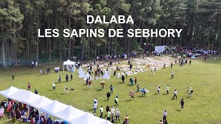 DALABA  LES SAPINS DE SEBHORY BADIAR TV [upl. by Anikal]