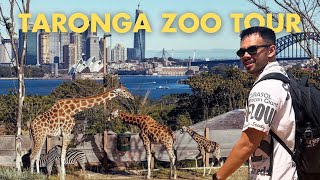 Are all zoos EVIL Vet Student Tours the Taronga Zoo [upl. by Alenas983]