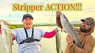 Striper Fishing Sherman Island Delta [upl. by Cameron]