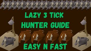 UPDATED EASY 3 TICK HUNTER GUIDE for lazy people [upl. by Ekard151]