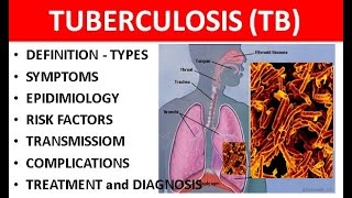 The Tuberculosis Vaccine [upl. by Airrotal]