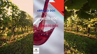 Italian DOC  DOCGs Abruzzo DOC italianwine abruzzo howtopronounce [upl. by Ellerehs]