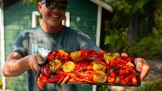 How To CATCH COOK AND CLEAN Rusty Crawfish Invasive Species [upl. by Leahcim]