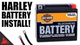 How To Change Battery on Harley Sportster [upl. by Ylrebmyk]