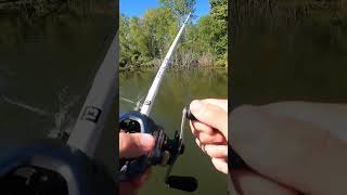 We can’t leave now fishing fishingvideo bassfishing anglinginspiration [upl. by Annoya]