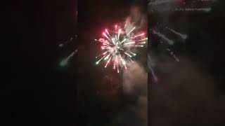 tiger 🐯 49 shot firework fireworks [upl. by Anohr]