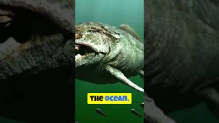 The Goblin Sharks Eerie Superpower factsocean deepsea sharks [upl. by Slosberg]