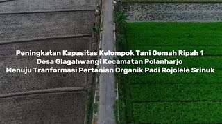 Pengabdian RG Peningkatan Kapasitas Kelompok Tani Gemah Ripah 1 Desa Glagahwangi Kec Polanharjo [upl. by Lila]