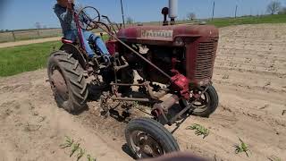 Farmall A cultivating corn and milo [upl. by Esetal842]