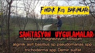 FINDIK SANİTASYON UYGULAMASI YAPIYORUZ [upl. by Susejedesoj]