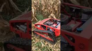 grassing farming grasscutter car rccar grasscuting [upl. by Marylee]