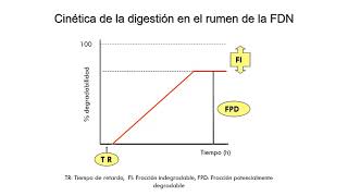 Digestibilidad Parte 3 [upl. by Daiz]