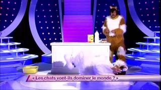 Ben amp Arnaud Tsamere 7 Les chats vontils dominer le monde  ONDAR [upl. by Nylave]