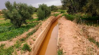 مشاهد رائعة من واحة دادس اليوم بعد امطار الخير Oasis Dades Aujourhui Après Une Journeè de Pluit [upl. by Limay]