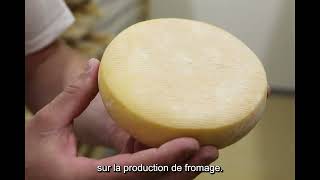 Reportage sur la Fromagerie du Tertre partenaire de la SCIC du Val Fleuri [upl. by Neelasor]