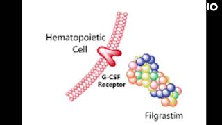 filgrastim uses and mode of action [upl. by Klemens]