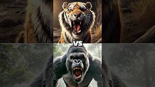 Siberian Tiger VS Gorilla  Who Would Win in a Fight Between These Two Beasts [upl. by Eedyaj]