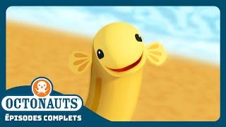 Octonauts  🏖️ Le calvaire de languille 😼  Saison 1  Épisodes complets [upl. by Laeynad]