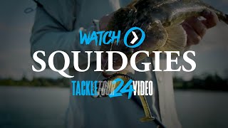 SHIMANO TACKLE TOUR 2024 Squidgies Ridge Shad [upl. by Quar42]