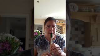 Marino Casino tin whistle John Sheehan version [upl. by Adamson769]