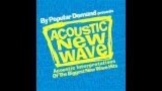 Various Artists  Acoustic New Wave Album Preview [upl. by Nodyl]