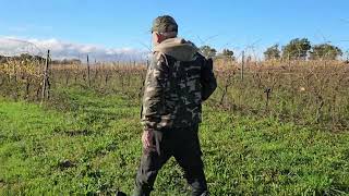 haut beaux matin à la chasse au lièvre Angoulême [upl. by Iru]