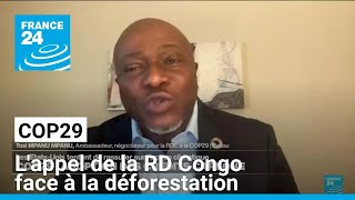 Cop29  lappel de la RD Congo face à la déforestation • FRANCE 24 [upl. by Kaasi]