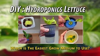 DIY  Hydroponics  Lettuce Kratky Method Keep it Simple This is the Easiest Grow Medium to Use [upl. by Obidiah13]