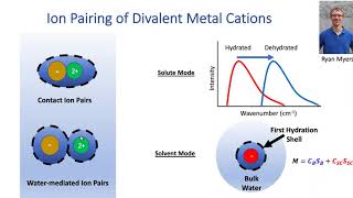 Ion Pairing of Divalent Metal Cations [upl. by Lonier]