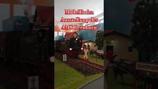 Modellbahn Ausstellung des AMC Bernburg 99 6102 Kiss [upl. by Nylrem]