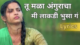 Tu Mala Angrakha Ki Lakdi Bhusa G Lyrics  Ek Phool Marathi Song Lyrics  Tu Mala Anguracha [upl. by Aicnelev]