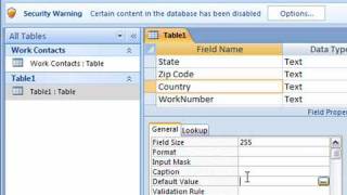 Set a Default Value in Access 2007 [upl. by Nagiam]