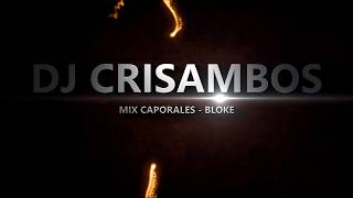 MIX CAPORALES BANDA ENSAYO  SAMBOS ILLIMANI BLOQUE 2013 ♫ •DjCrisambos•• ♫ [upl. by Orfurd]