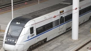 CRH1B China High Speed train 中國高速列車 D2284深圳北往上海虹桥 ShenZhen to Shanghai Train [upl. by Bristow]