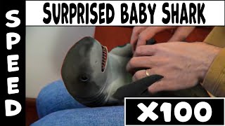 Surprised Baby Shark Speed X100 Gradual Accseleration [upl. by Annavoj632]