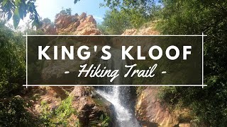 Kings Kloof Hiking Trail  WATERFALL  FRIENDS  BUTTERFLIES  Come Walk and explore With Us [upl. by Aeret]