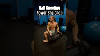 Half Kneeling Power Bag Chop and Lift coreworkout corestrength absworkout Sebastian Pytel [upl. by Grissel22]