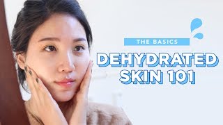 💦Dehydrated Skin 101 • How to Treat amp Skincare Routine for Dehydrated Skin [upl. by Prober828]